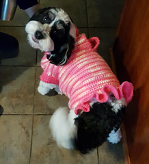Dog sweaters