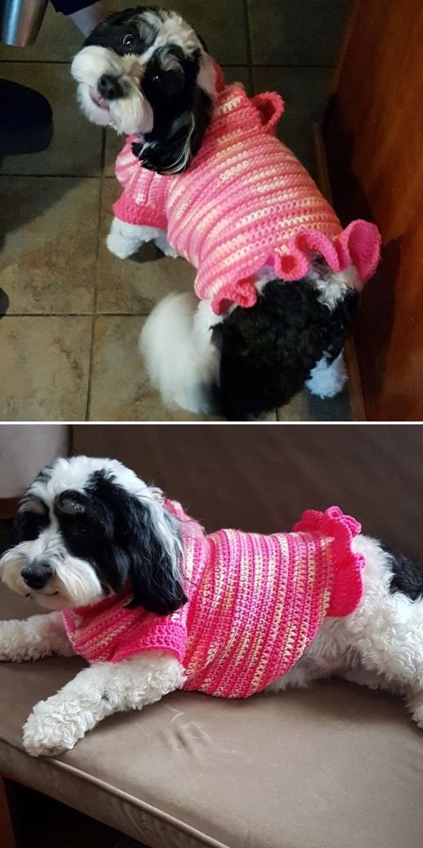 Dog sweaters Crochet Easy Patterns