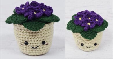 African Violet Flowers